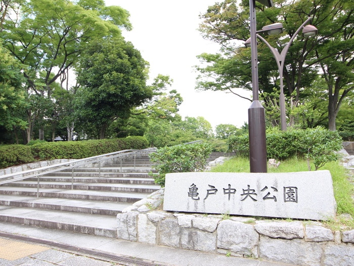 亀戸中央公園(公園)まで20m ハイツ栄