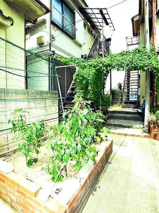 外観写真 ドミールＫ　Ａ棟