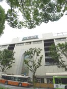 コルソ(デパート)まで800m グリ－ンヒル本太