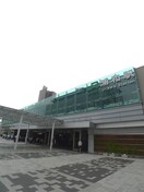 浦和駅(役所)まで800m グリ－ンヒル本太