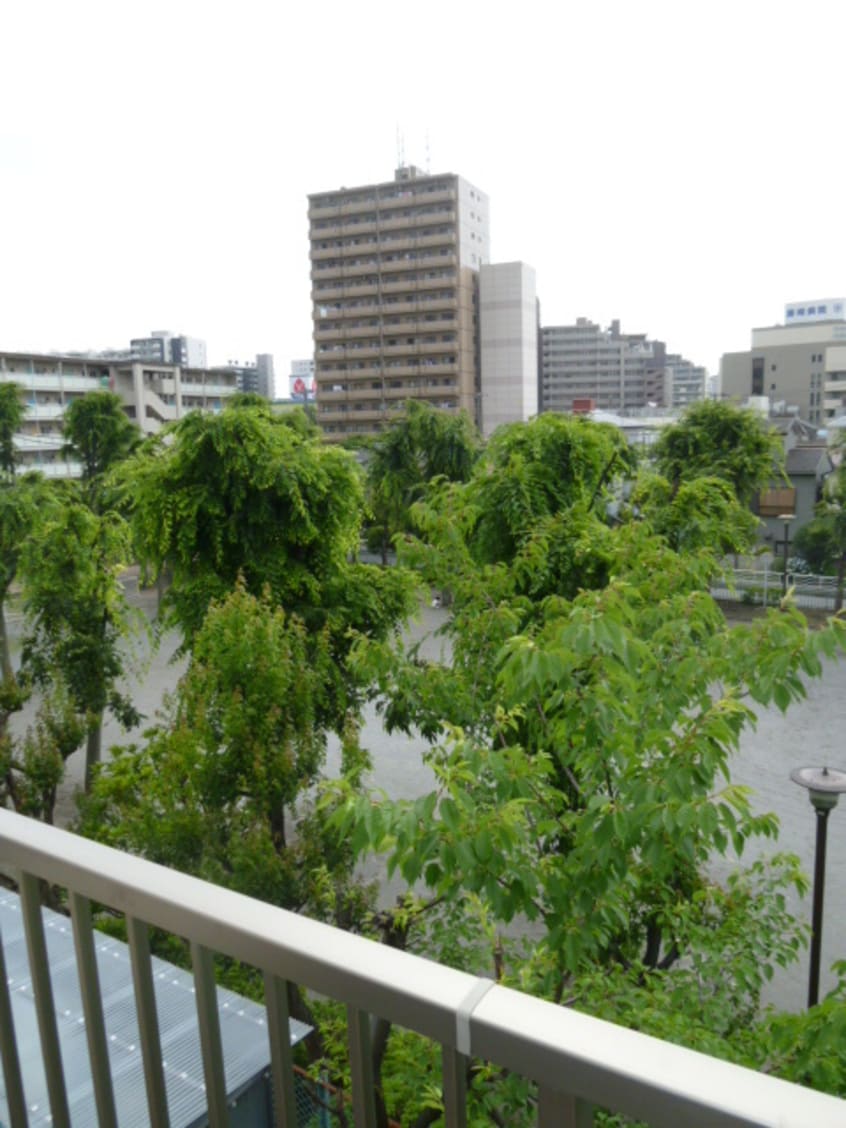 室内からの展望 ハイサル－ンⅠ