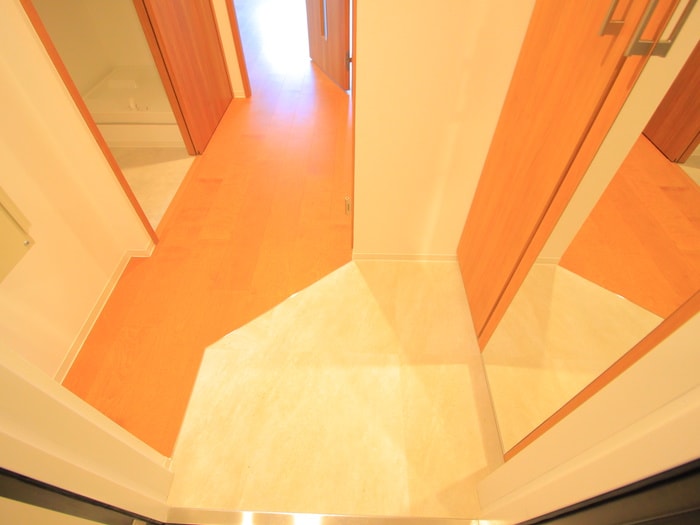 玄関 イルヴィアーレ東武練馬Ⅱ