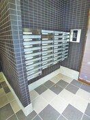 その他 FOREST M20