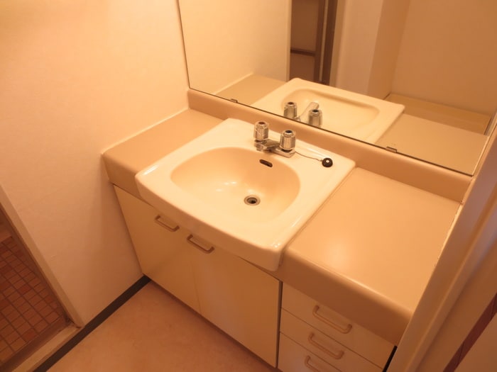 洗面 コートハウス藤が丘