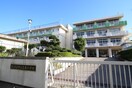 さいたま市立芝原小学校(小学校)まで200m 東浦和ｶﾞｰﾃﾞﾝﾌﾟﾗｻﾞ壱番館