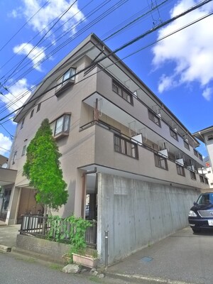 ニューリーブス