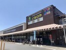 いなげや 青梅師岡店(スーパー)まで411m ジョイフル河辺