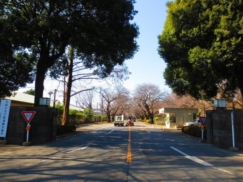 国際基督大学(大学/短大/専門学校)まで370m 土屋ハイツ