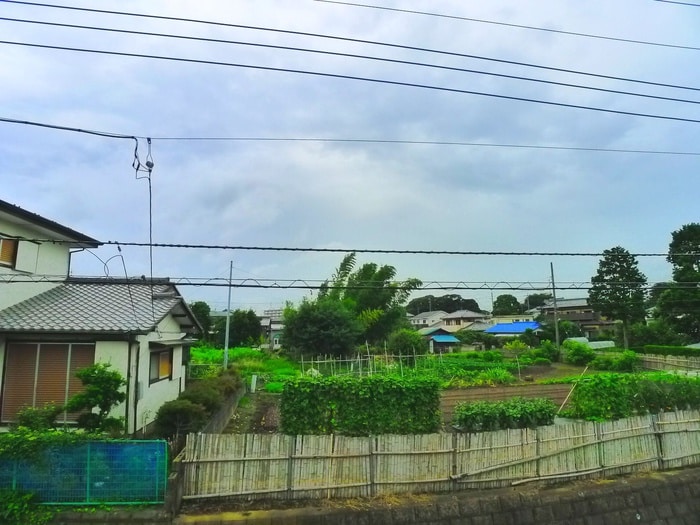 室内からの展望 ハミング柴崎台