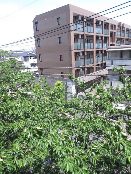 室内からの展望 アルトジャルダン