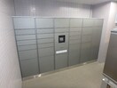 建物設備 文京ｸﾞﾘｰﾝｺｰﾄﾋﾞｭｰﾀﾜｰ本駒込A棟