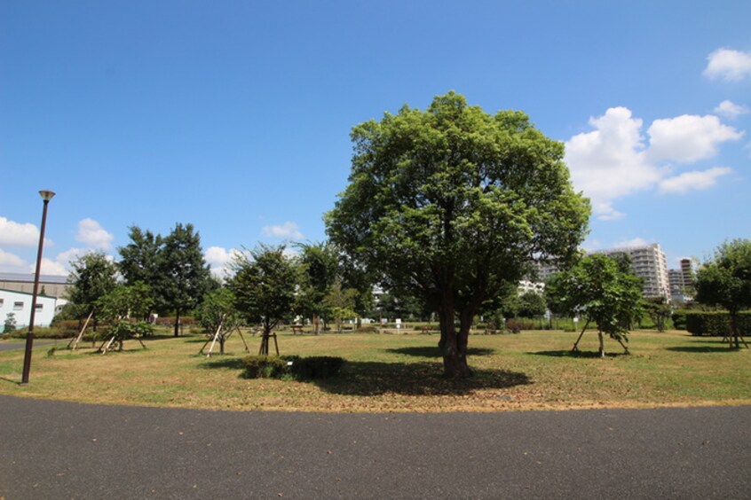 東糀谷防災公園(公園)まで47m グロ－リア初穂東糀谷(108)