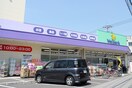 ウェルパーク中野島店(ドラッグストア)まで700m グリーンメイツ