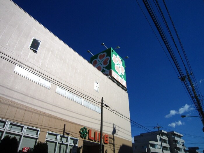 ライフ(デパート)まで357m 板橋昭和ビル徳丸