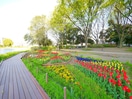 石神井公園(公園)まで1000m 柏木コ－ポラス