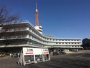 私立東海大学湘南キャンパス(大学/短大/専門学校)まで1400m 大根スカイリッチマンション