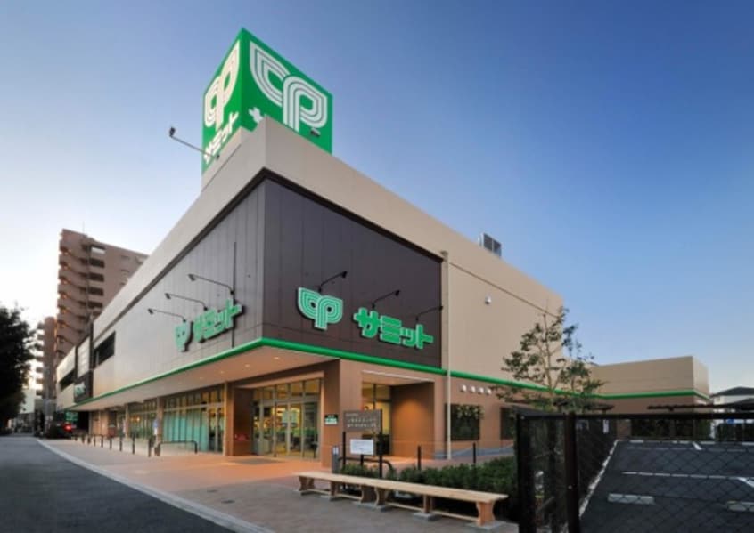 サミット　野沢龍雲寺店(スーパー)まで356m パ－クハウストキ