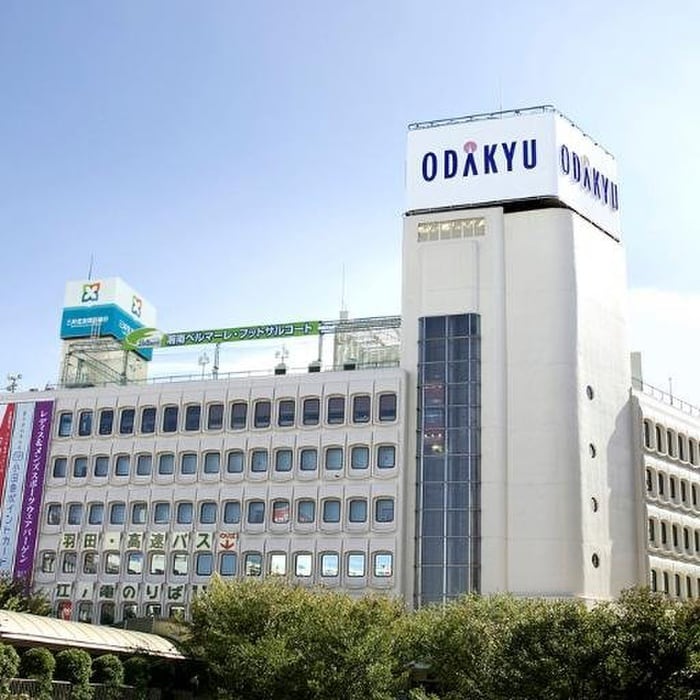 ODAKYU湘南(デパート)まで350m ライオンズマンション藤沢(503）