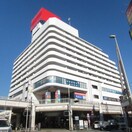 サンビーチ追浜店(ショッピングセンター/アウトレットモール)まで1300m ヒルズ・リサ