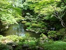 殿ヶ谷戸庭園(公園)まで300m センチュリ－国分寺