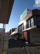 JAよこすか葉山北下浦支店(銀行)まで180m サンテラス長沢（１－Ｄ）