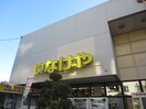 いなげや(スーパー)まで77m さくらハイム
