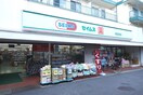 セイムス稲田堤店(ドラッグストア)まで380m ジュネスフジ