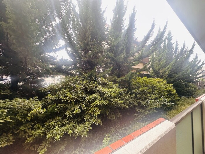 室内からの展望 エル　パラドール