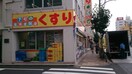 どらっぐぱぱす 横川店(ドラッグストア)まで300m 知野ビル