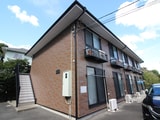 アムール椿