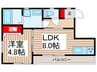 仮）グランディール 1LDKの間取り