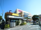 イオン(ショッピングセンター/アウトレットモール)まで1000m エクレ－ルⅠ