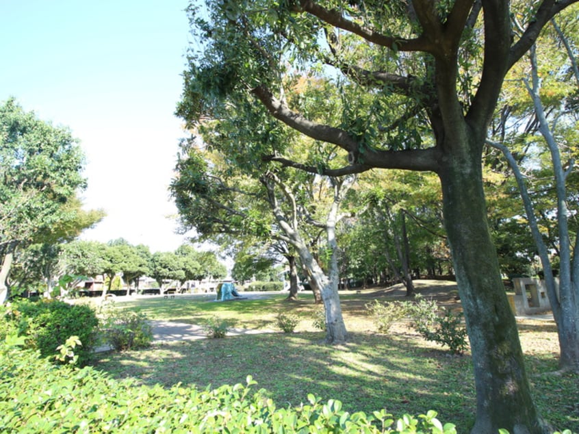 千間台第４公園(公園)まで800m エクレ－ルⅠ