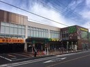 マミーマート神明町店(スーパー)まで500m ハウス宮元３号棟