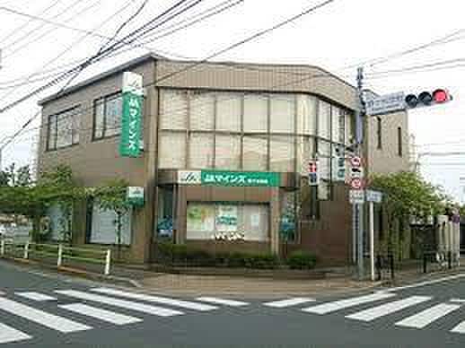 ＪＡマインズ野ケ谷支店(銀行)まで309m メゾン・ラマージュ