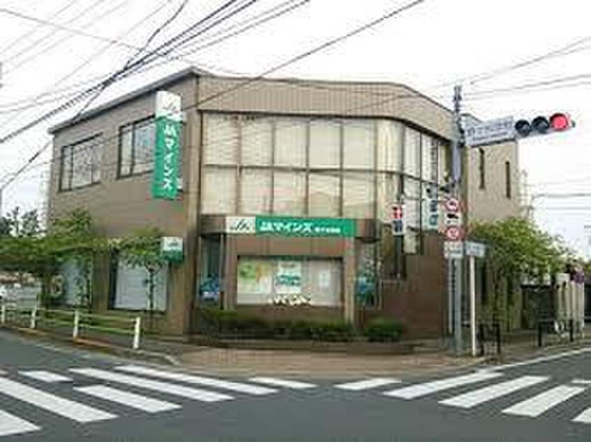 ＪＡマインズ野ケ谷支店(銀行)まで309m メゾン・ラマージュ