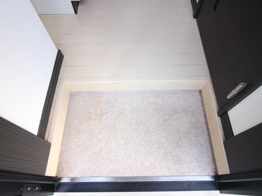 玄関 ラファエロ