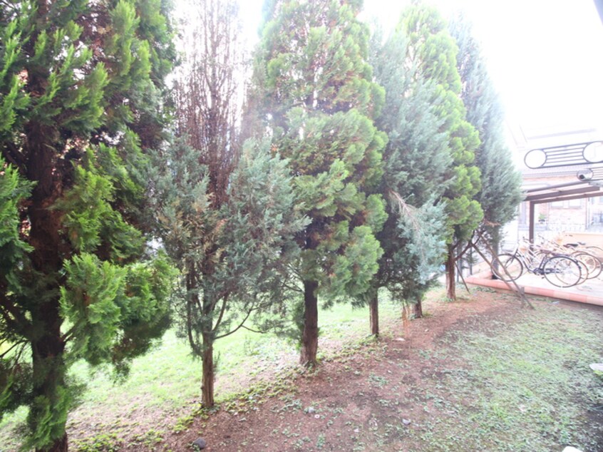 室内からの展望 ラファエロ