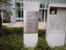 上野学園大学(大学/短大/専門学校)まで285m ハイリーフ上野