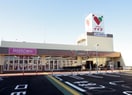 コモディイイダ(スーパー)まで600m 仮）REGALEST東大宮