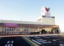 コモディイイダ(スーパー)まで600m 仮）REGALEST東大宮