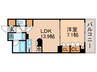 パ－クアクシス豊洲 1LDKの間取り