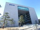 東洋大学　白山キャンパス(大学/短大/専門学校)まで507m コルク本駒込