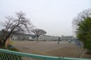 金子小学校(小学校)まで550m 上原コーポ