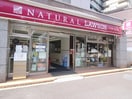 ナチュラルローソン　白金高輪店(コンビニ)まで90m ミュール白金