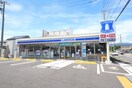 ローソン中丸店(コンビニ)まで834m エミネンス・ハナＢ