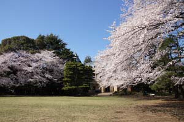 目黒区立駒場公園(公園)まで450m VILLA　ASNA