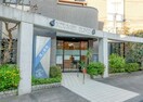 鴻上内科医院(病院)まで234m ザ・パークメゾン代田