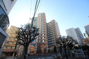 アデニウム小田急相模原（207）