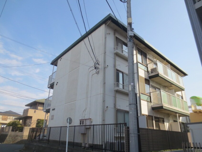 その他 ラフィア湘南